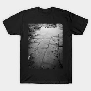 Autumn in the City T-Shirt